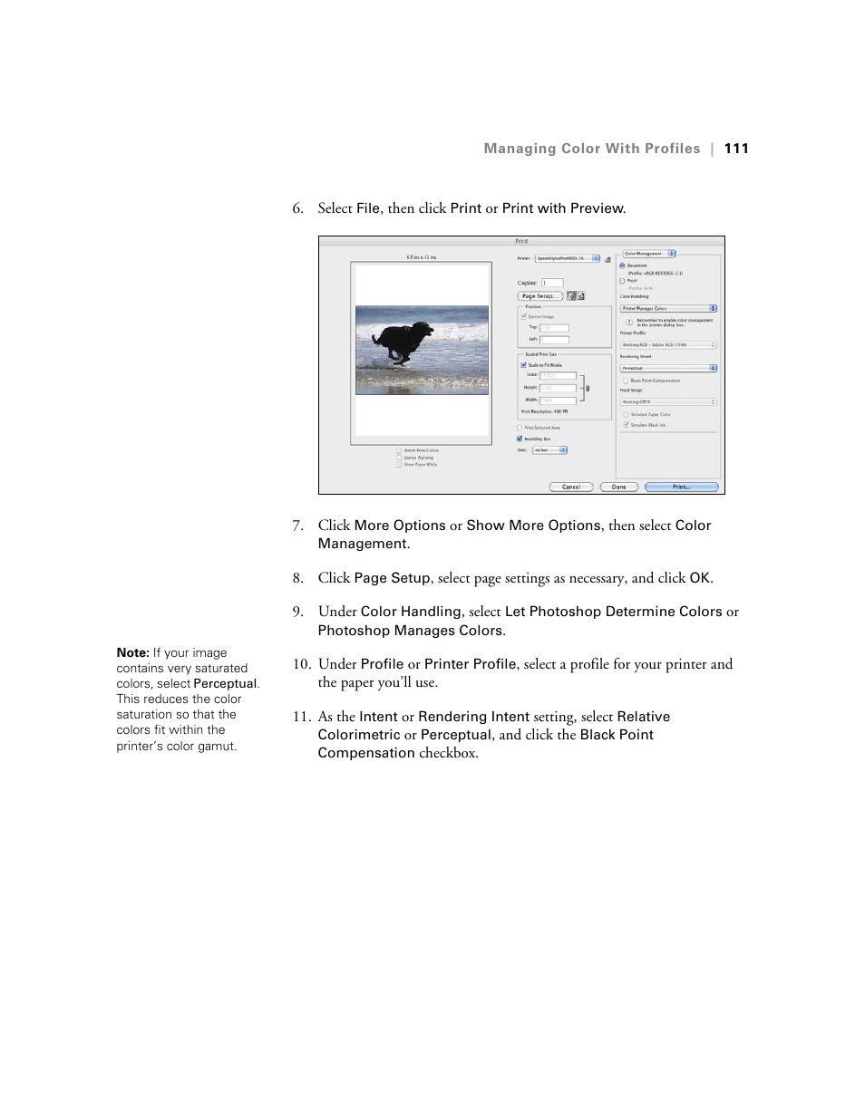 Ericsson STYLUS PRO 4900 User Manual | Page 109 / 174