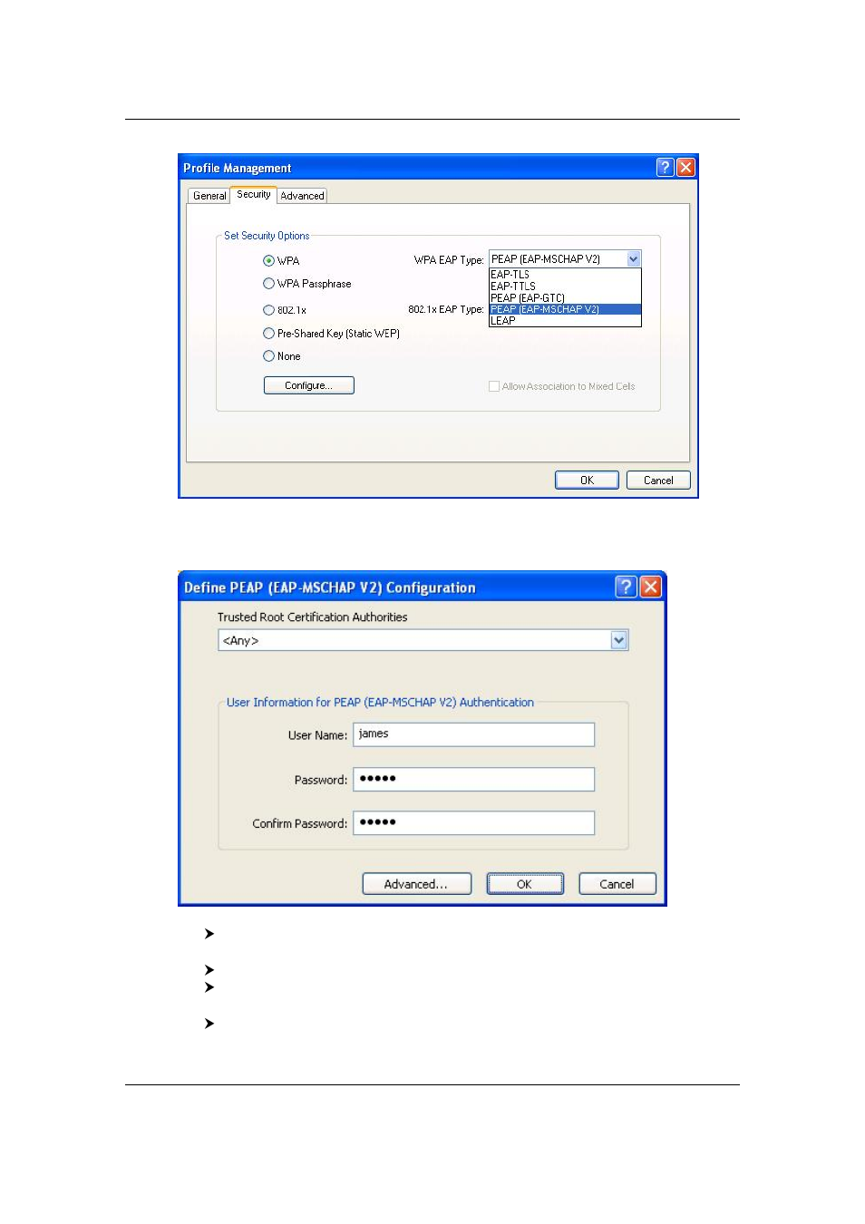 Efficient Networks EEE 802.11b/g Wireless USB 2.0 Adapter User Manual | Page 24 / 48