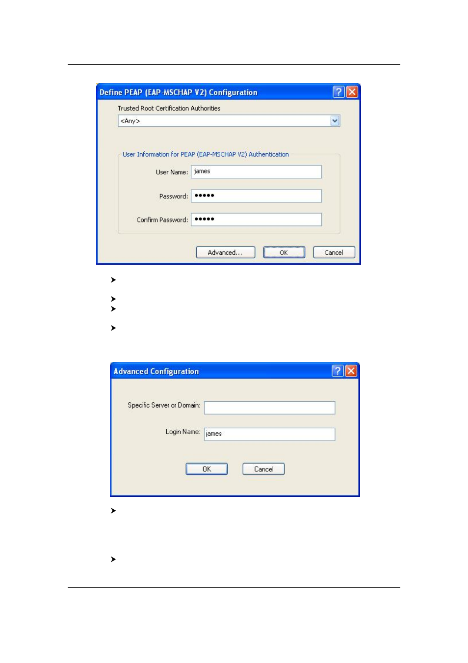 Efficient Networks EEE 802.11b/g Wireless USB 2.0 Adapter User Manual | Page 33 / 48