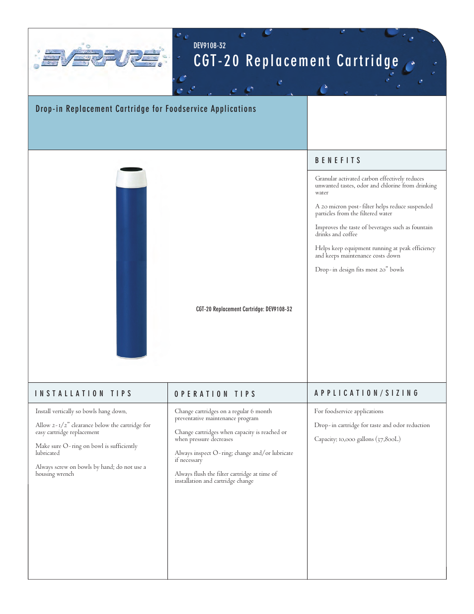 Everpure CGT-20 Replacement Cartridge DEV9108-32 User Manual | 2 pages