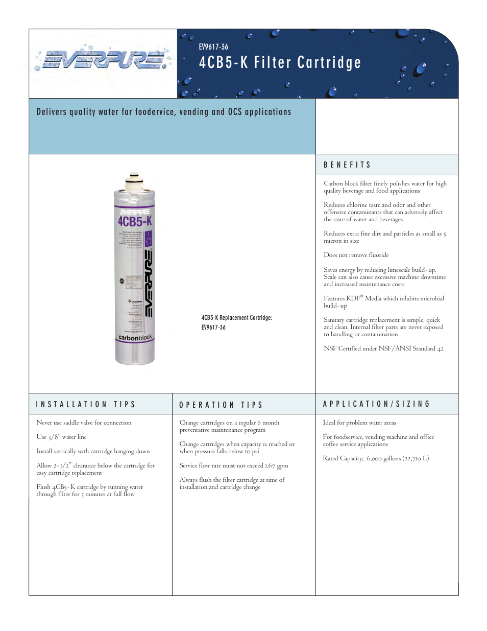 Everpure 4CB5-K Filter Cartridge EV9617-36 User Manual | 2 pages