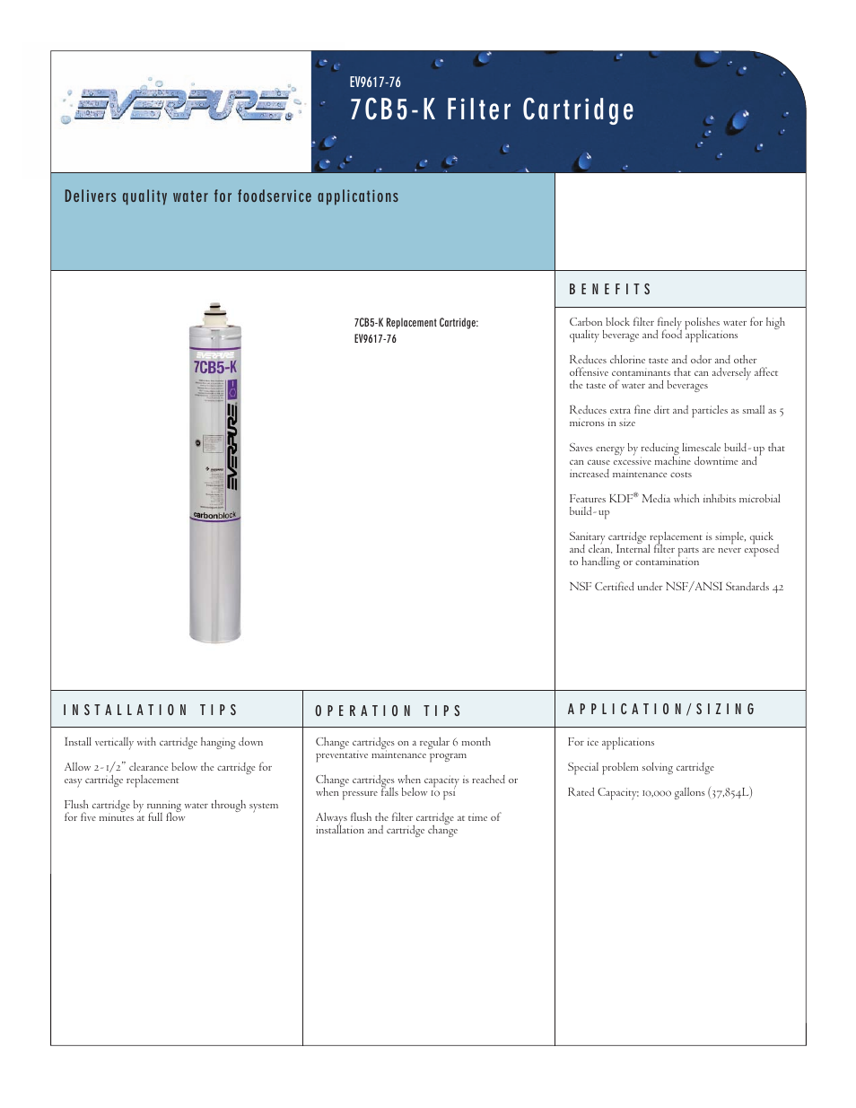 Everpure Filter Cartridge EV9617-76 User Manual | 2 pages
