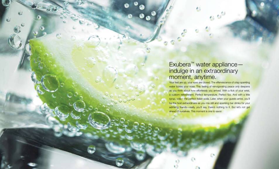 Exubera | Everpure Exubera Sparkling & Chilled Water Dispenser User Manual | Page 2 / 5