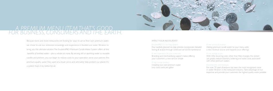 Everpure ExuberaPRO Premium Carafe Water System User Manual | Page 3 / 9