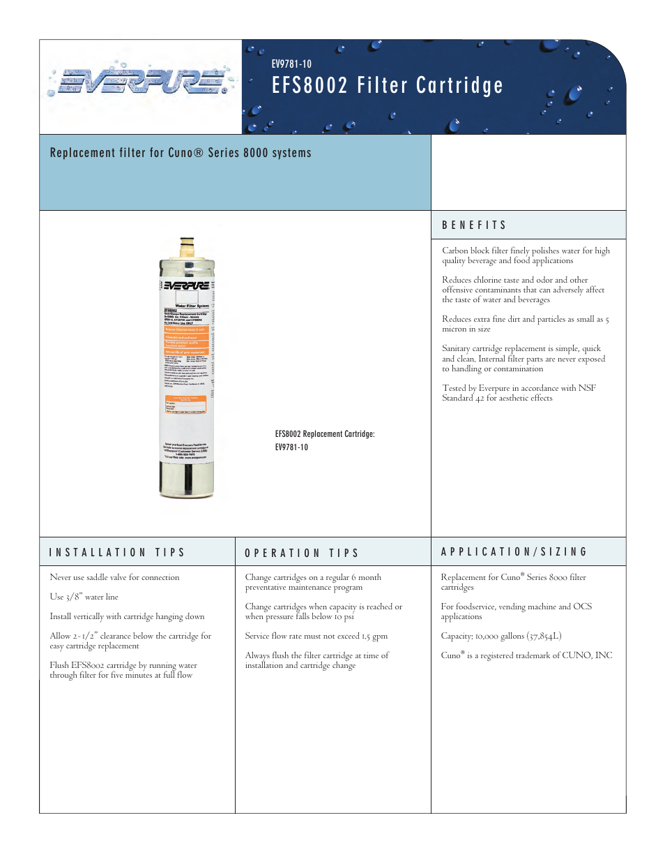 Everpure EFS8002 User Manual | 2 pages