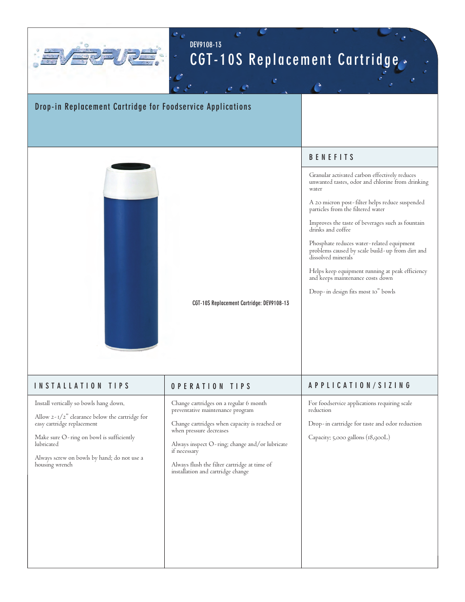 Everpure Replacement Cartridge CGT-10S User Manual | 2 pages