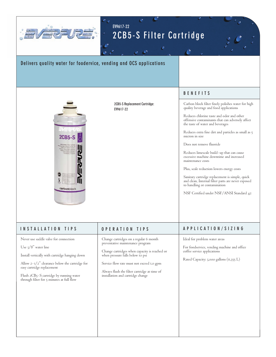 Everpure 2CB5-S Replacement Cartridge EV9617-22 User Manual | 2 pages