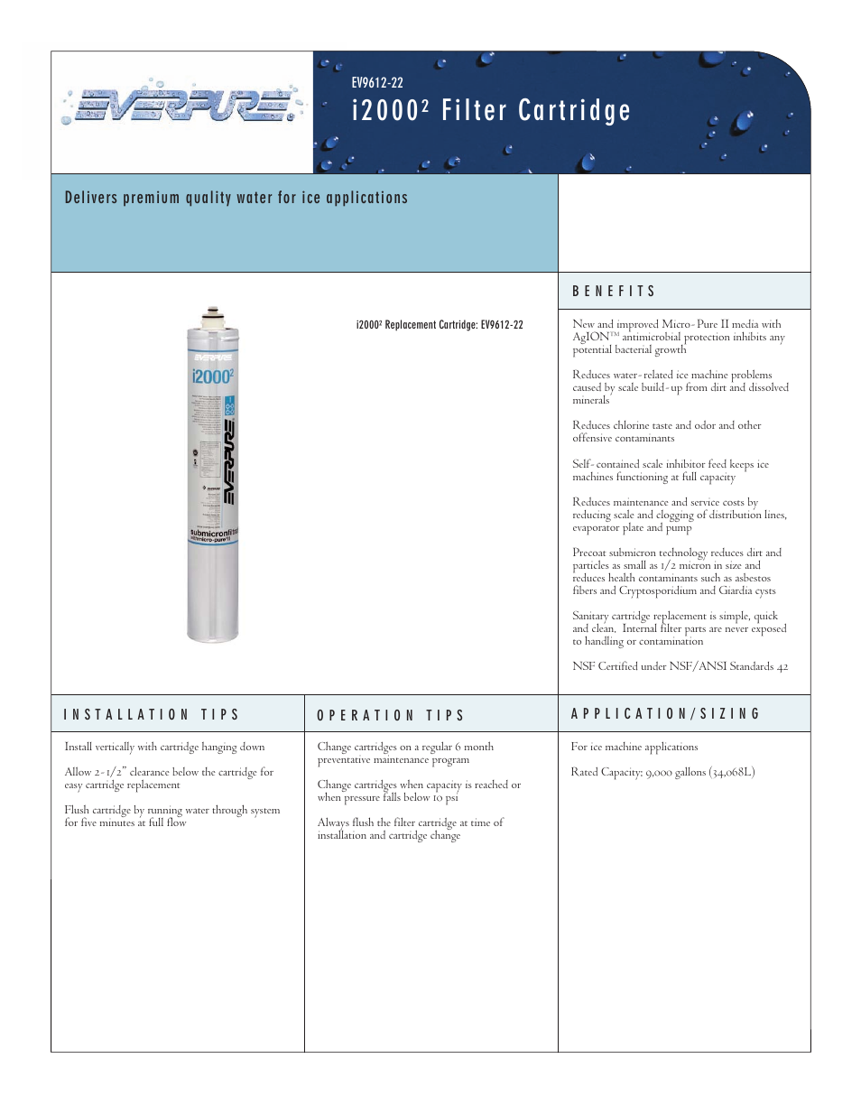 Everpure Filter Cartridge i20002 User Manual | 2 pages