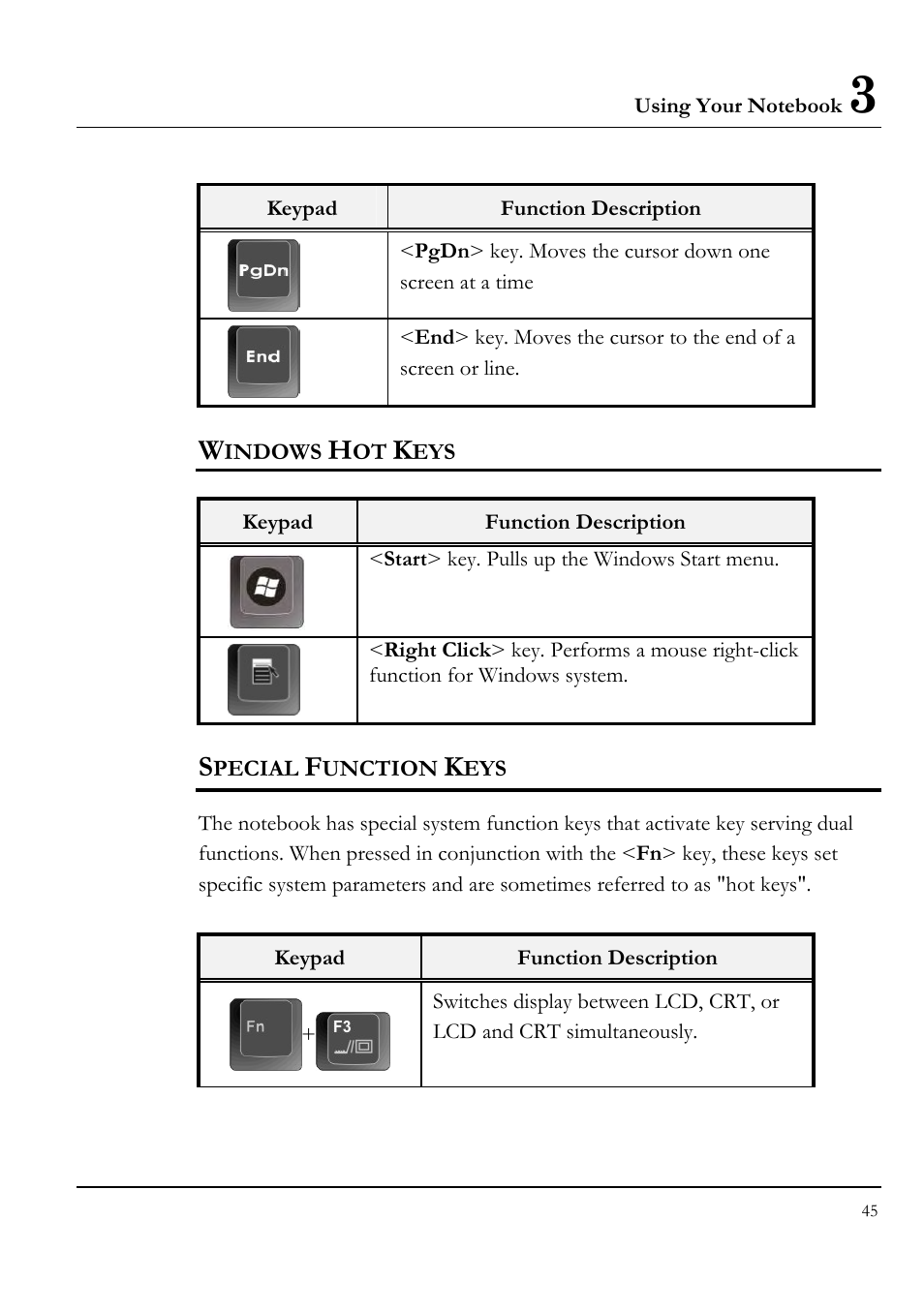 Windows hot keys, Special function keys | Everex VA4103 User Manual | Page 45 / 140