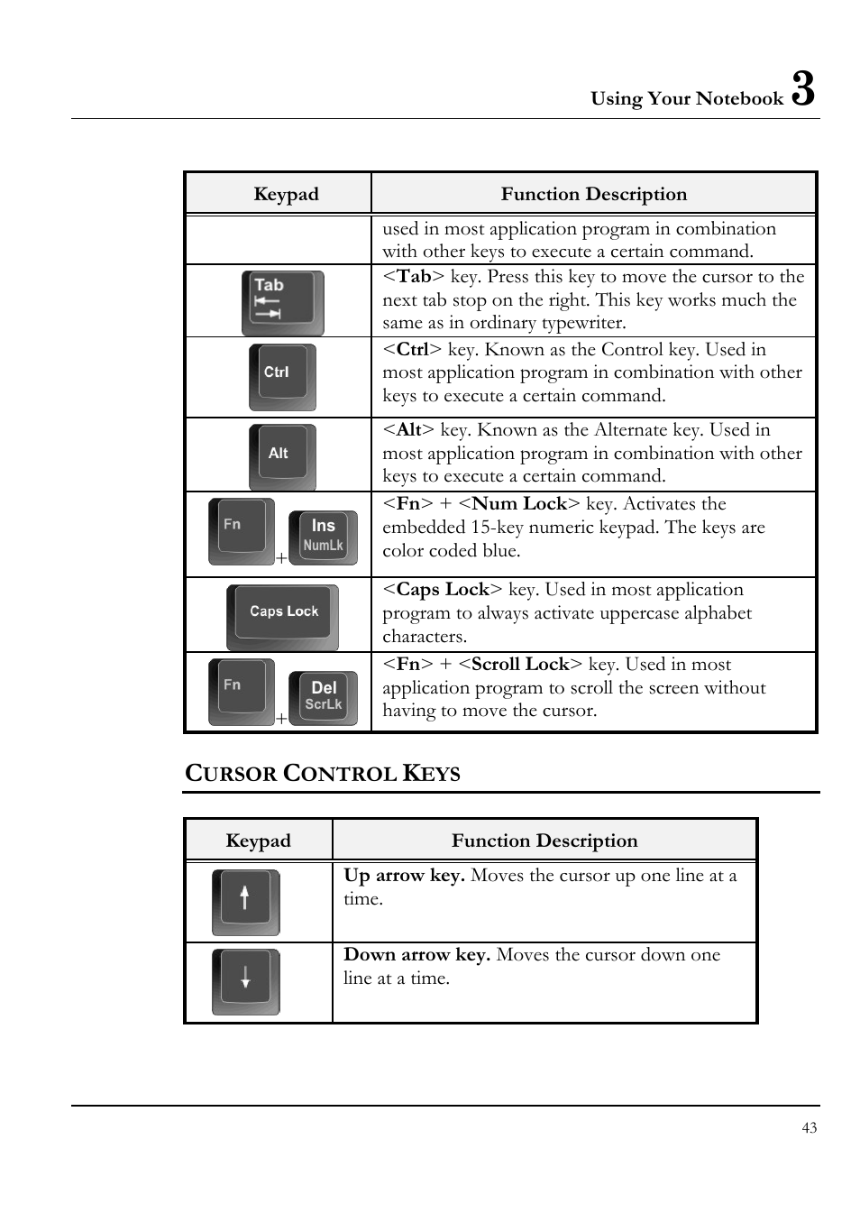 Cursor control keys | Everex STEPNOTE VA4200M User Manual | Page 43 / 138