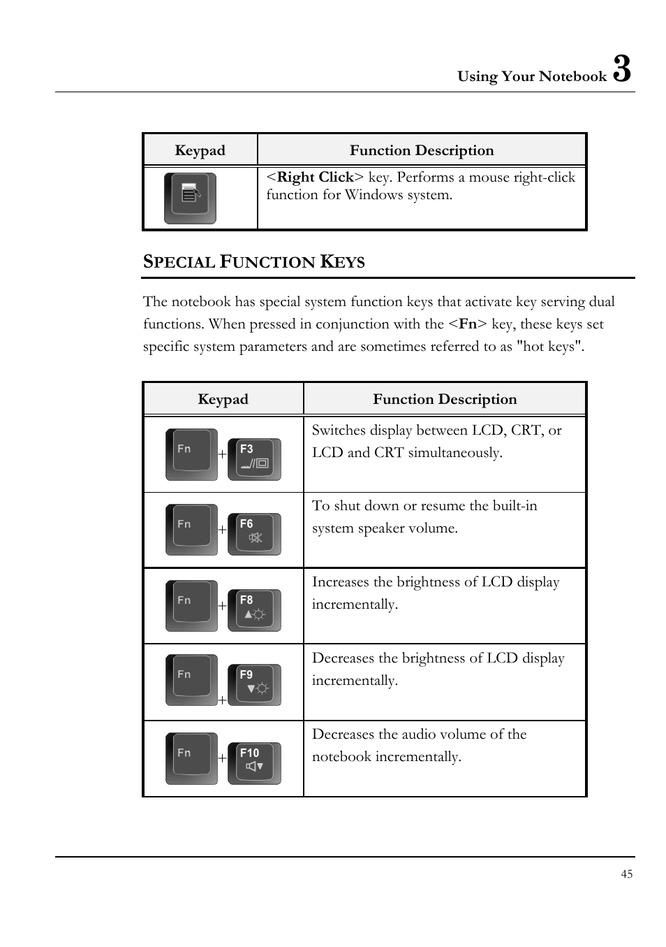 Special function keys | Everex STEPNOTE VA4200M User Manual | Page 45 / 138