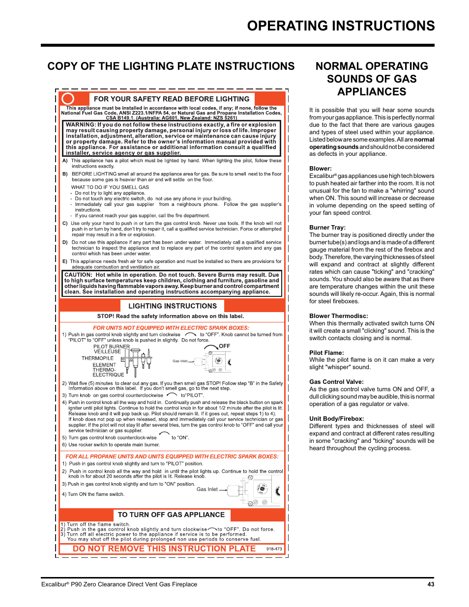 Operating instructions | CarAlarms.com P90-NG1 User Manual | Page 43 / 52