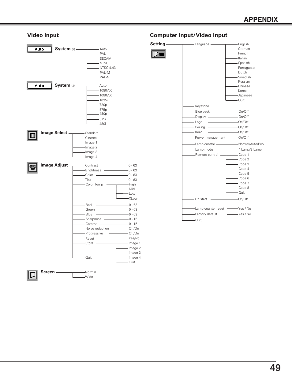 Appendix, Video input, Computer input/video input | Eiki LC-XT4U/E User Manual | Page 49 / 56