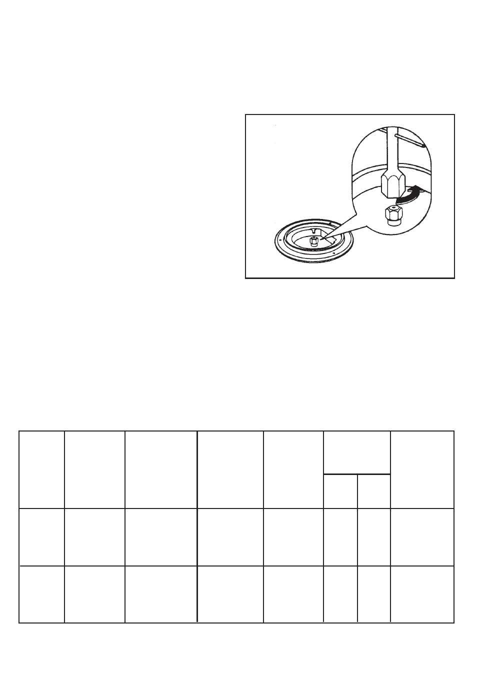 Conversion to lpg, Replacing the injectors, Burner characteristics | Electrolux 79902G User Manual | Page 33 / 44