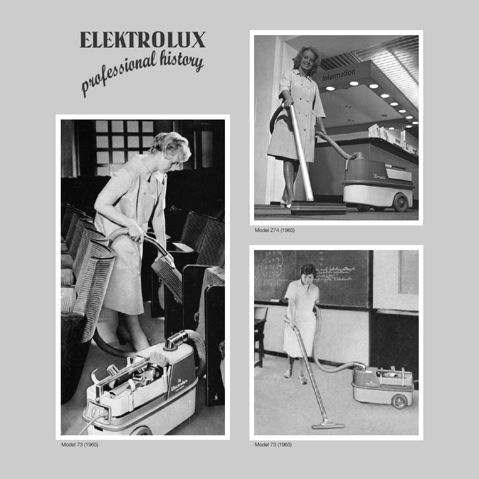 Electrolux Pro Z910 User Manual | Page 15 / 20
