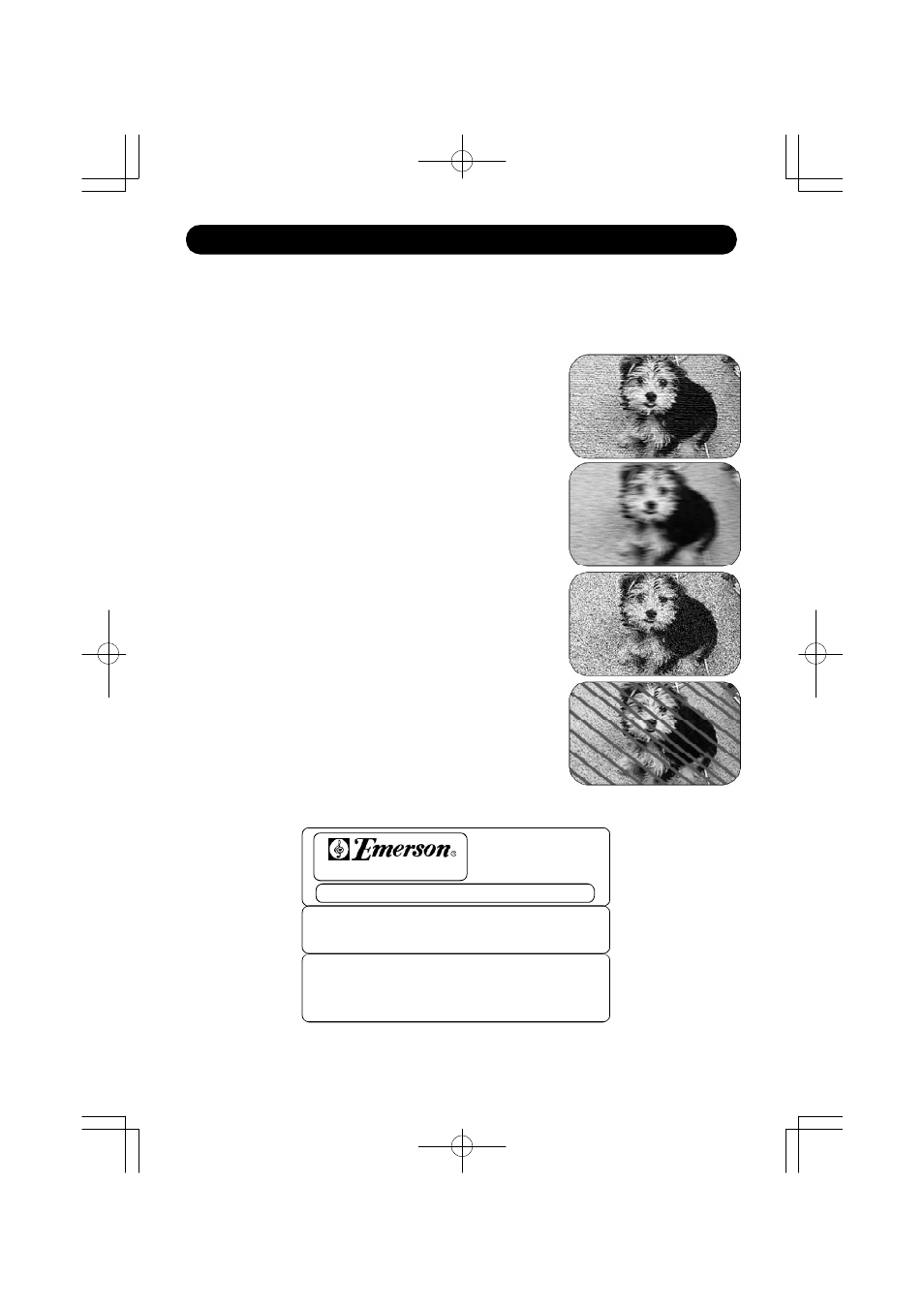 Reception disturbances | Emerson Radio Dora the Explorer DTE351 User Manual | Page 39 / 42