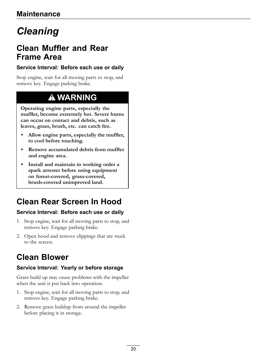 Cleaning, Clean muffler and rear frame area, Warning | Clean rear screen in hood, Clean blower, Maintenance | Exmark Lazer XP User Manual | Page 20 / 24