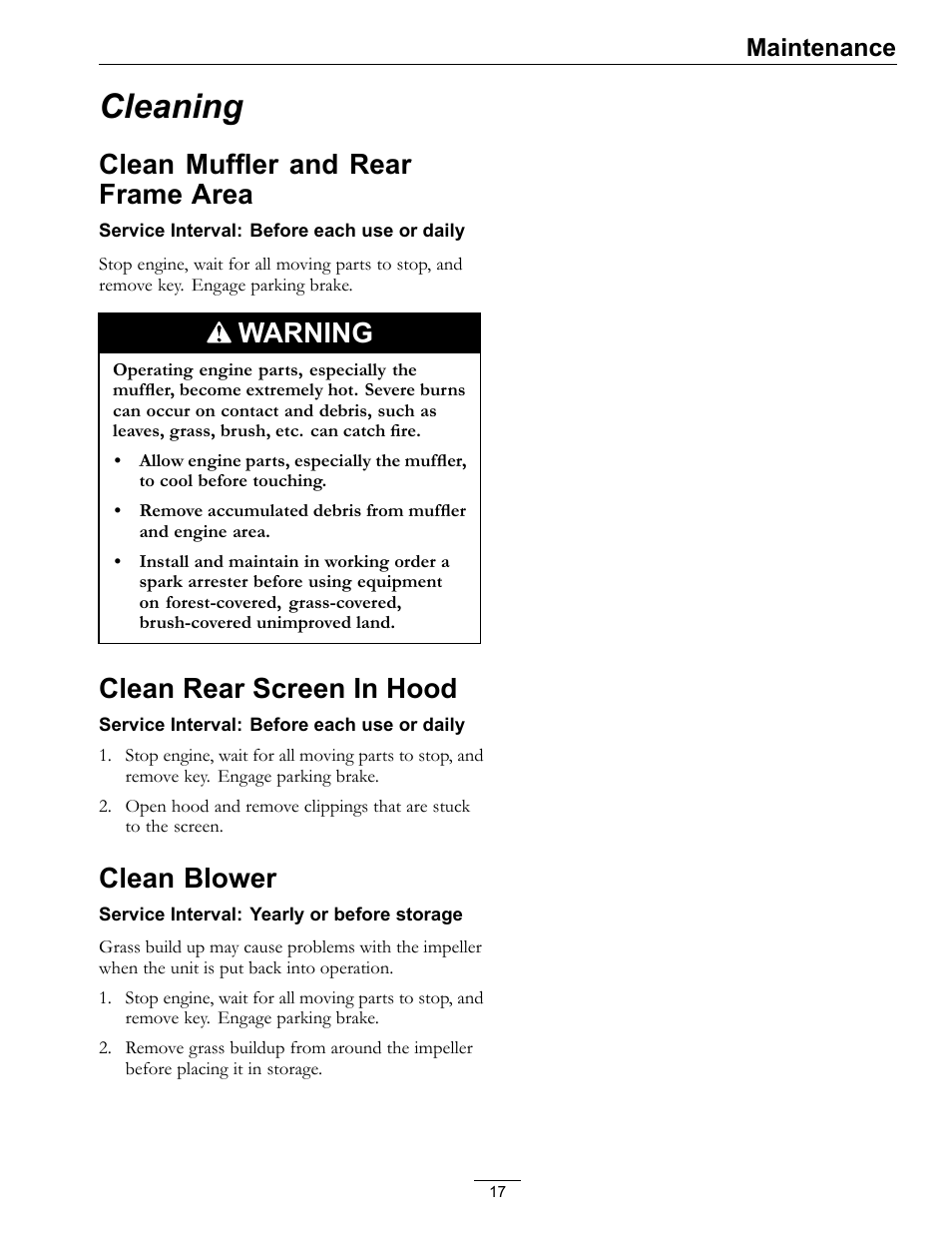 Cleaning, Clean muffler and rear frame area, Warning | Clean rear screen in hood, Clean blower, Maintenance | Exmark ULTRA VAC LAZER Z HP User Manual | Page 17 / 24