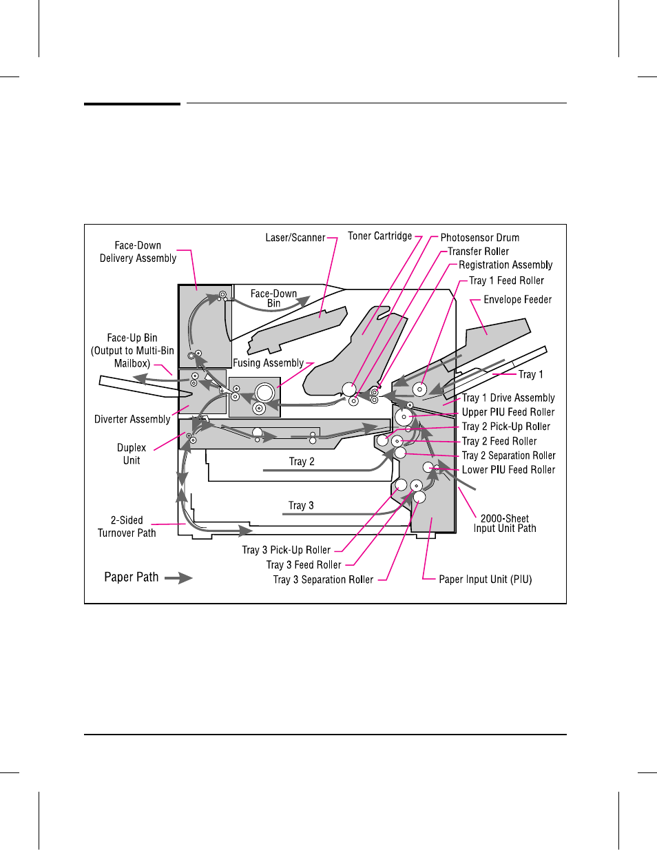 Paper paths and components, Printer, duplex unit, and envelope feeder | EXP Computer C4077-90960 User Manual | Page 105 / 408