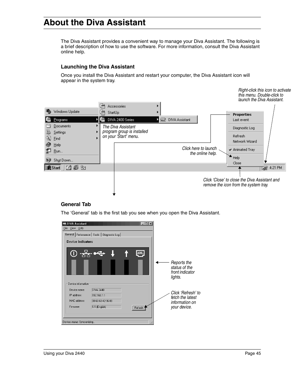 About the diva assistant | Eicon Networks Diva 2440 User Manual | Page 45 / 94