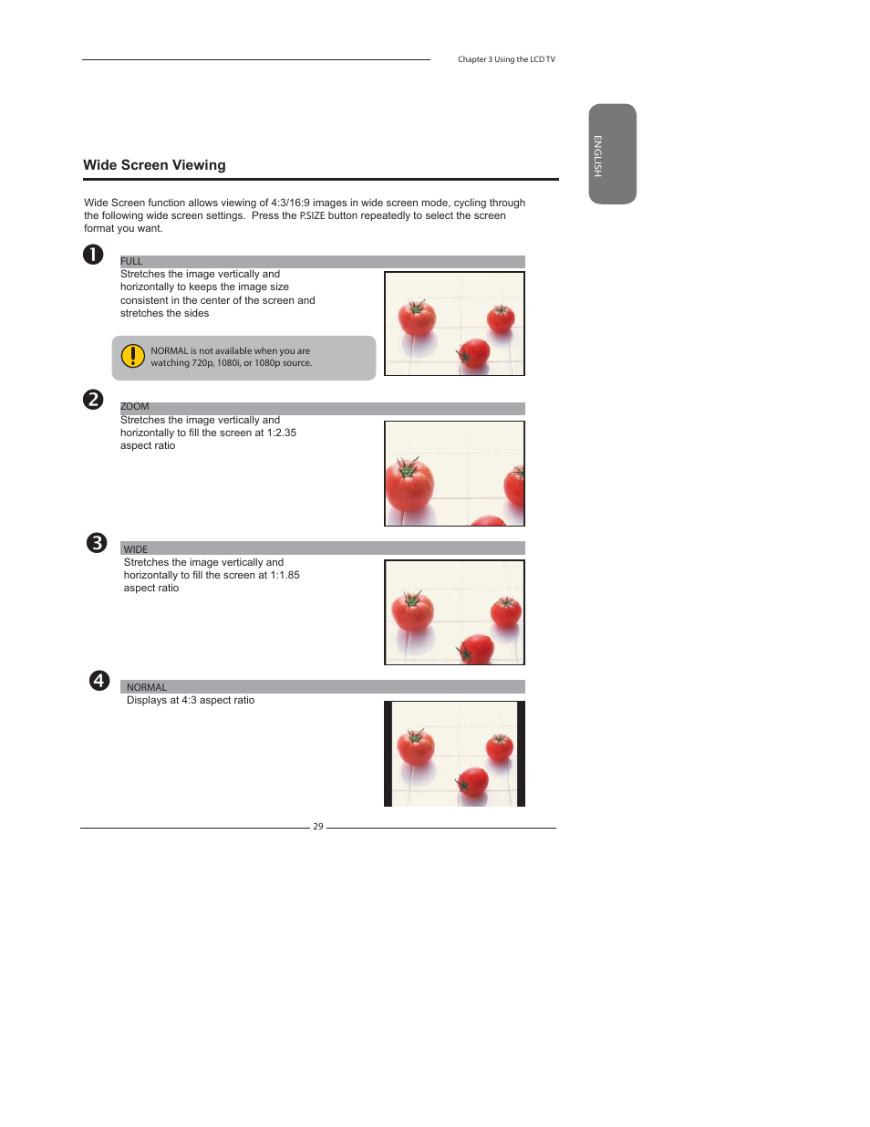 Chapter 3 using the features | Element Electronics FLX-3210 User Manual | Page 31 / 49