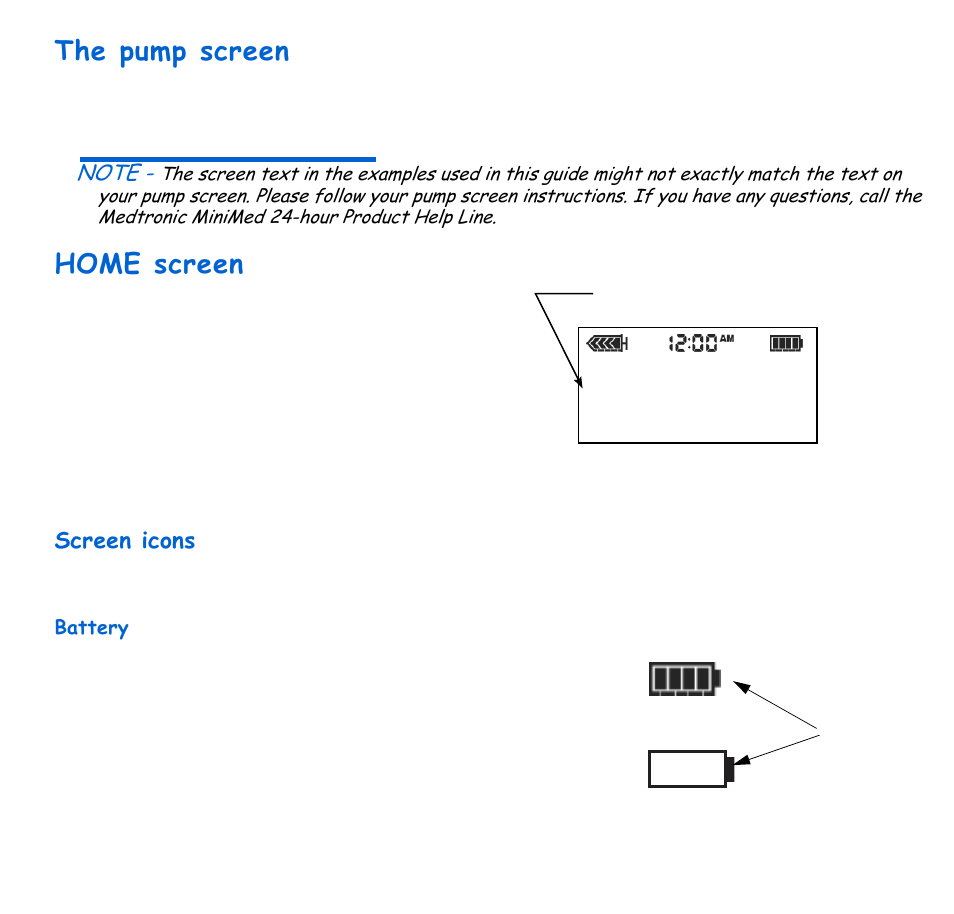 The pump screen, Home screen, Screen icons | Battery | Energizer 715 User Manual | Page 37 / 188