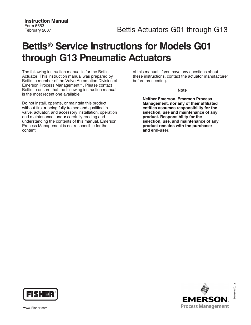 Emerson Process Management BETTIS G01 User Manual | 50 pages