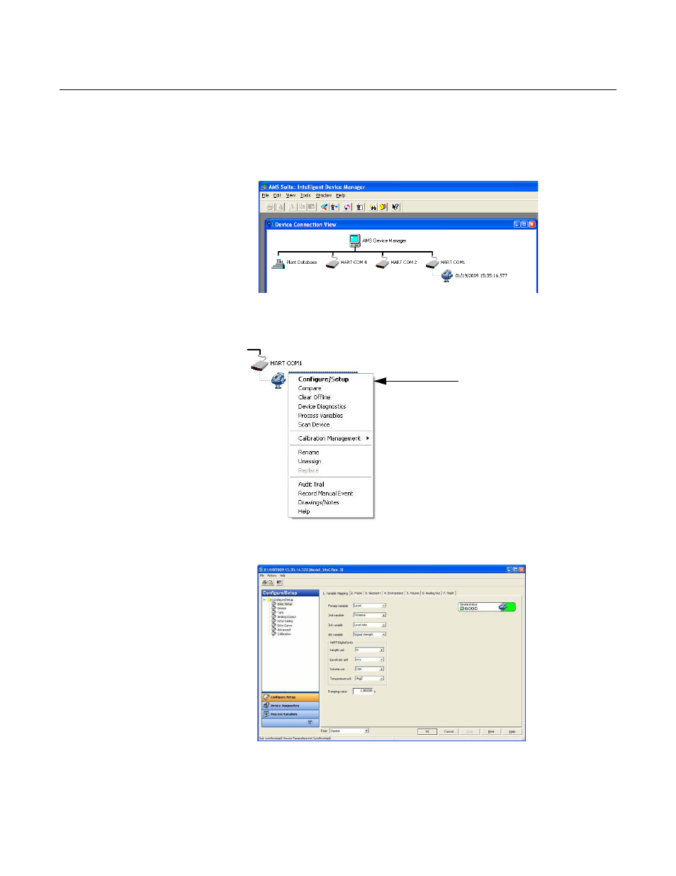 Basic configuration using ams suite (hart) -30, Rosemount 5300 series | Emerson Process Management ROSEMOUNT 5300 User Manual | Page 102 / 324