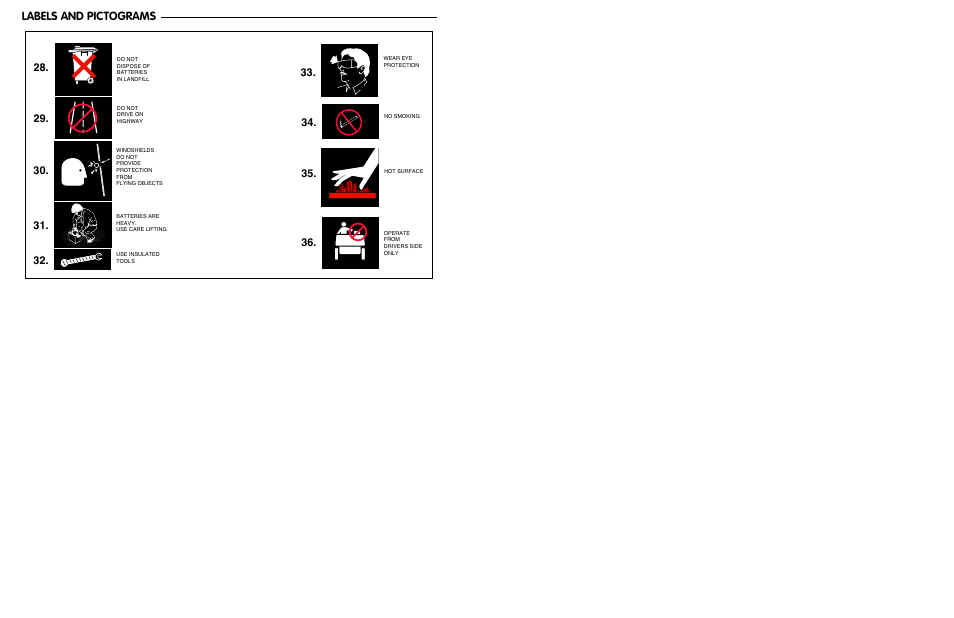 Labels and pictograms | E-Z-GO ST 480 User Manual | Page 62 / 66