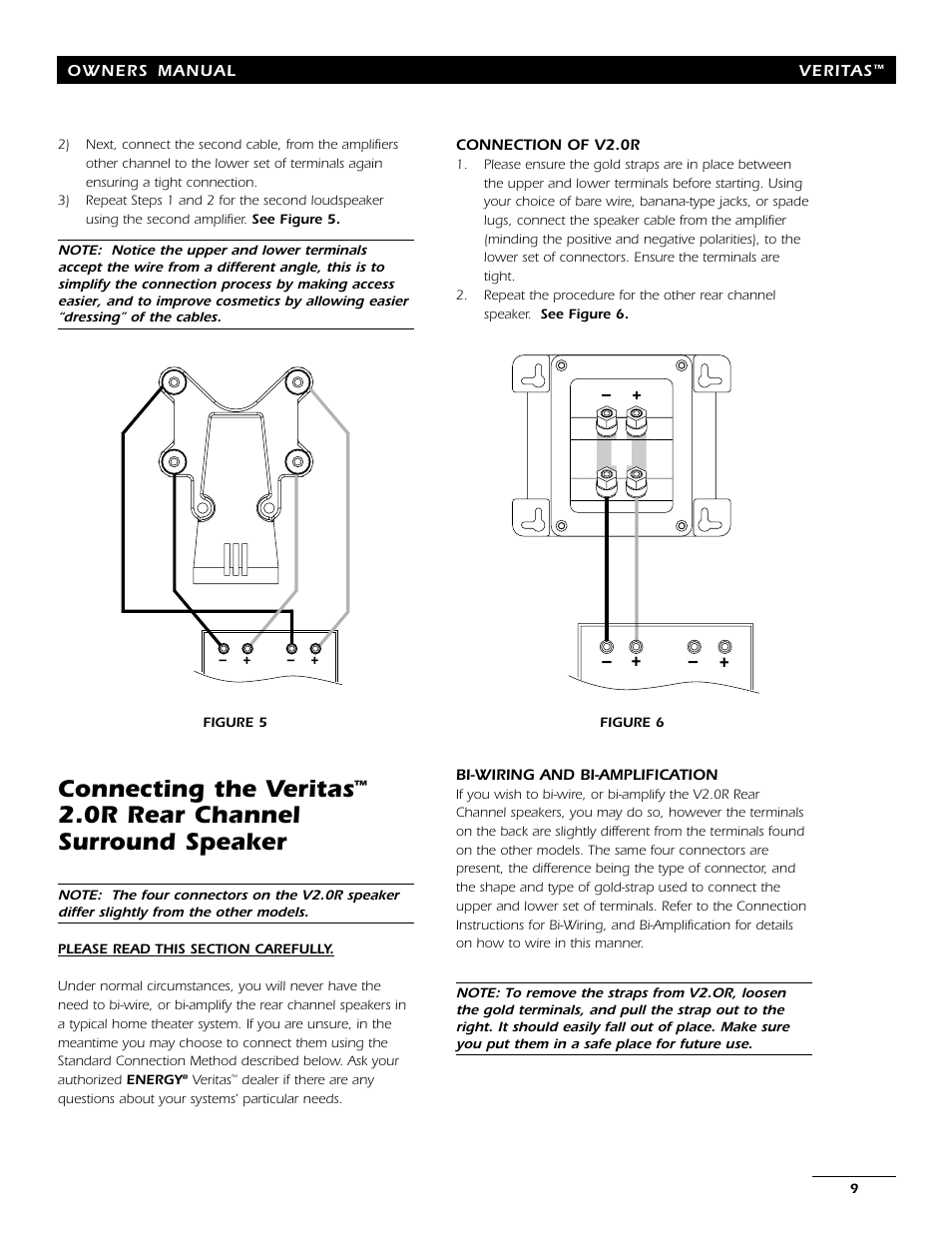 Connecting the veritas, 0r rear channel surround speaker | Energy Speaker Systems 7AI User Manual | Page 8 / 69