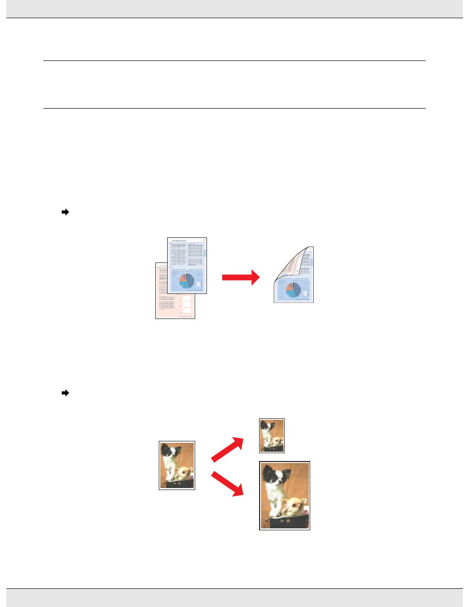 Printing with special layout options, Introduction, Double-sided (duplex) printing | Chapter 4 printing with special layout options, Chapter 4, Fit to page printing | Epson B 310N User Manual | Page 51 / 190