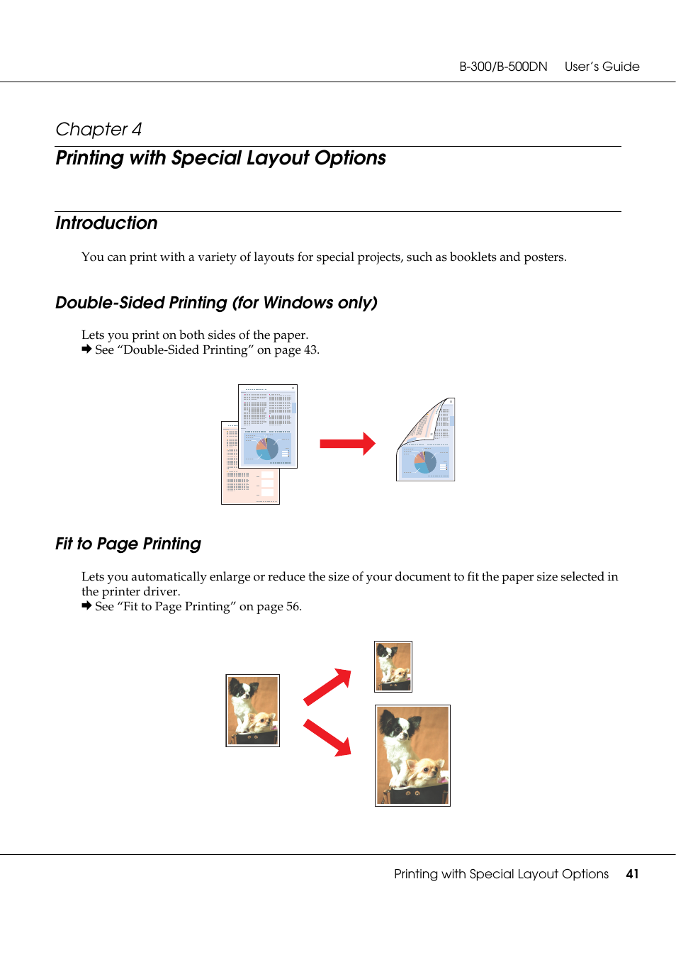 Printing with special layout options, Introduction, Double-sided printing (for windows only) | Chapter 4, Fit to page printing | Epson B 500DN User Manual | Page 41 / 168