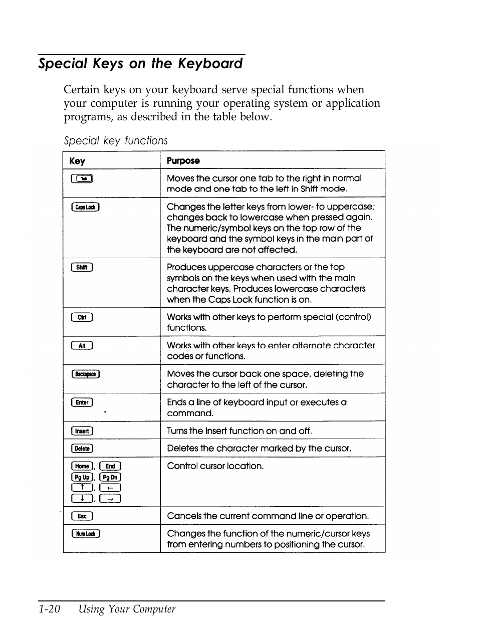 Special keys on the keyboard, L-20 | Epson Endeavor User Manual | Page 36 / 197