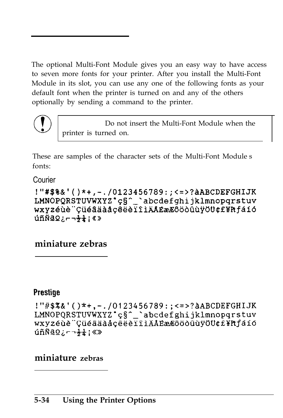 The multi-font module | Epson 4500 User Manual | Page 172 / 317