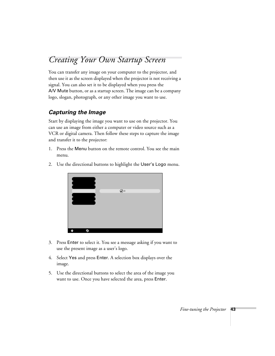 Creating your own startup screen, Capturing the image | Epson 73c User Manual | Page 49 / 108