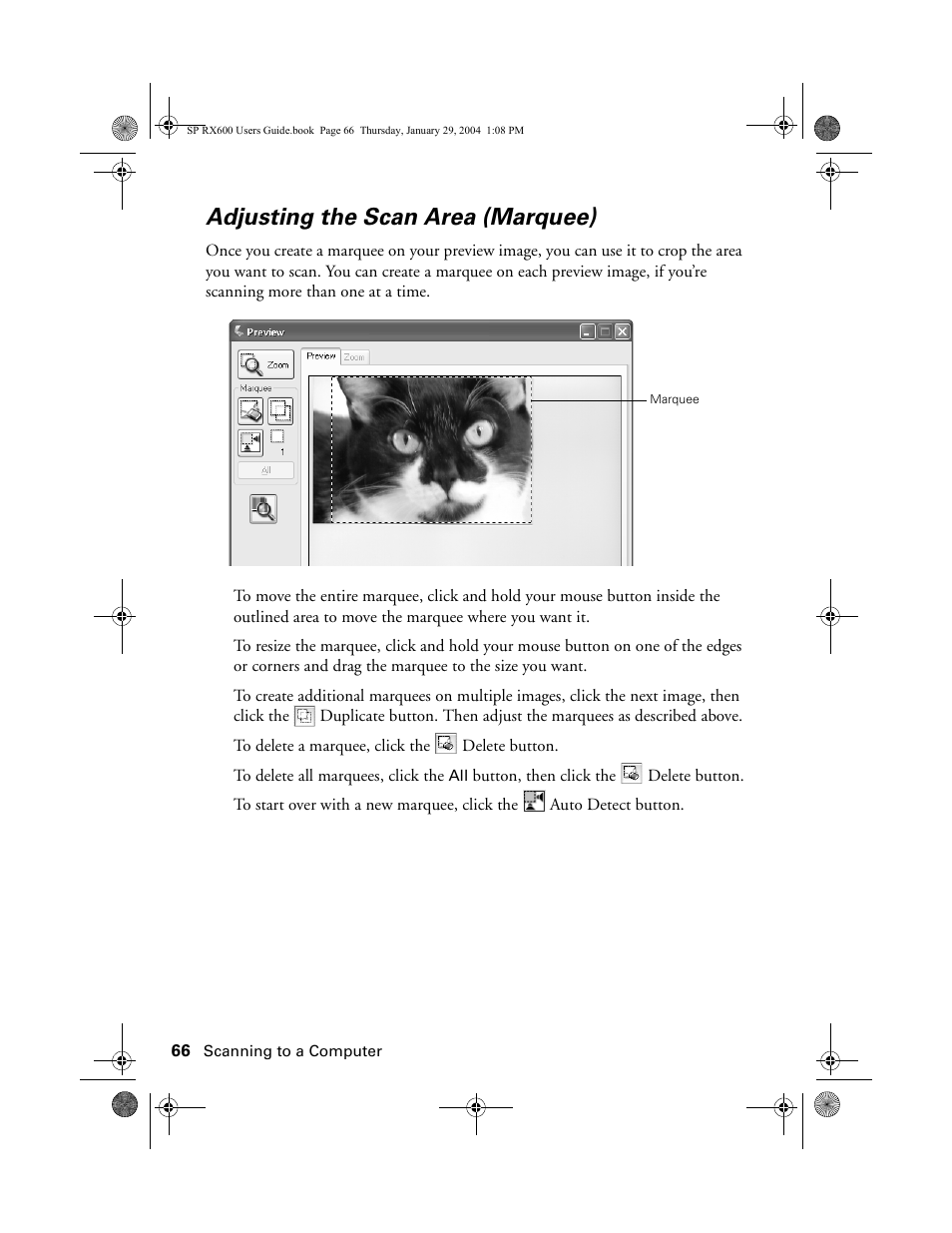 Adjusting the scan area (marquee) | Epson All-In-One Stylus Photo RX600 User Manual | Page 66 / 164