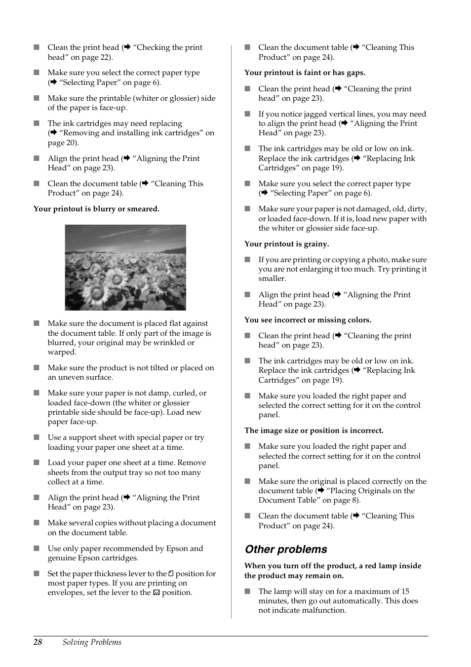 Other problems | Epson STYLUS DX6000 User Manual | Page 30 / 36
