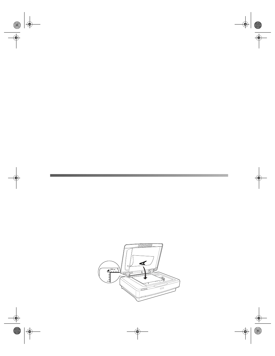 Scanning basics, Placing your original document, Chapter 1 | Epson 10000XL User Manual | Page 11 / 96
