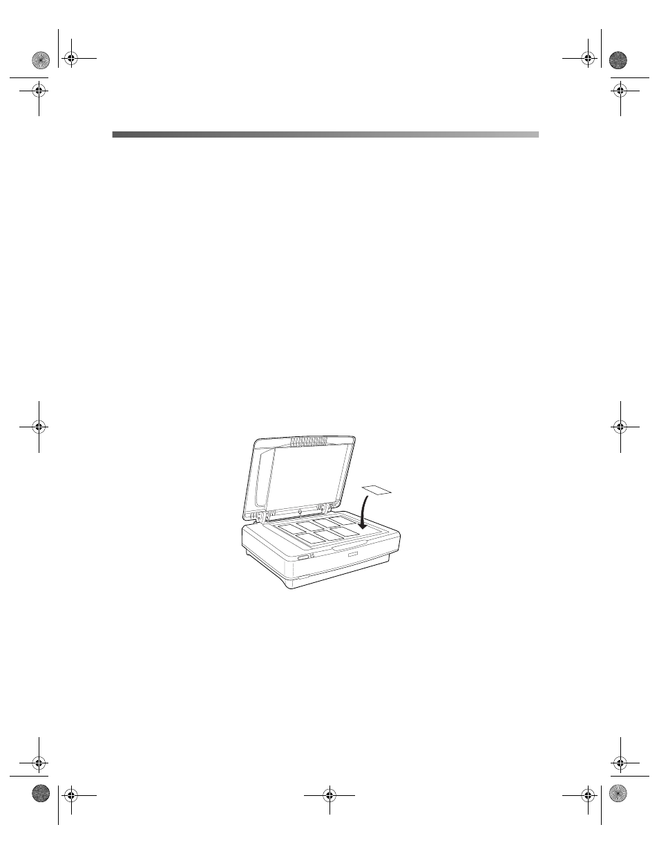 Batch scanning photos and film, Placing your photos | Epson 10000XL User Manual | Page 38 / 96