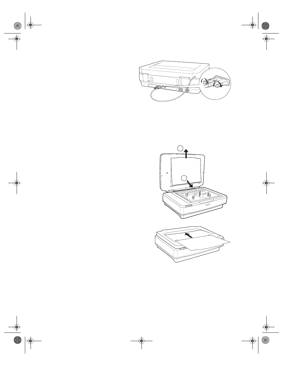 Using the transparency unit | Epson 10000XL User Manual | Page 46 / 96
