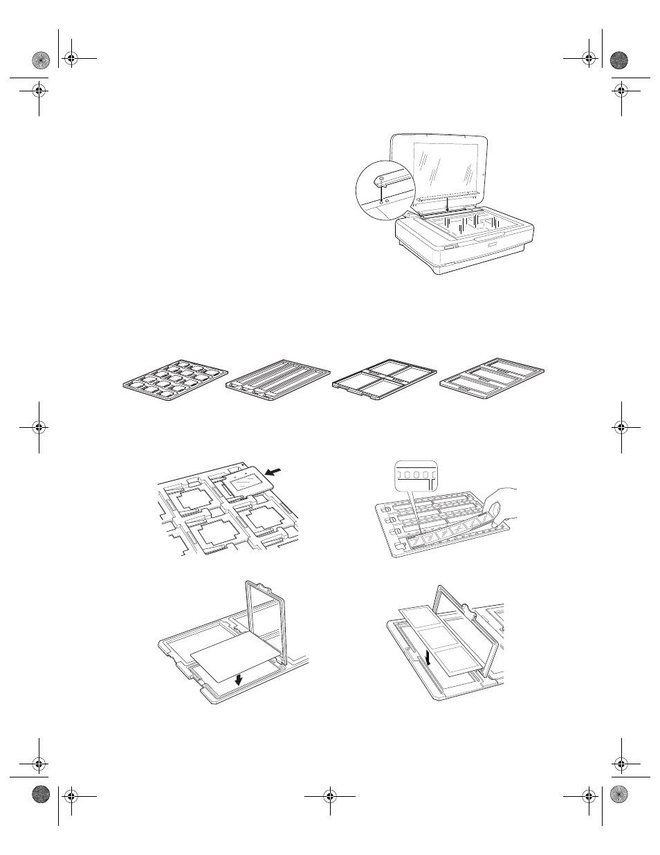 Placing standard film sizes on the scanner | Epson 10000XL User Manual | Page 47 / 96