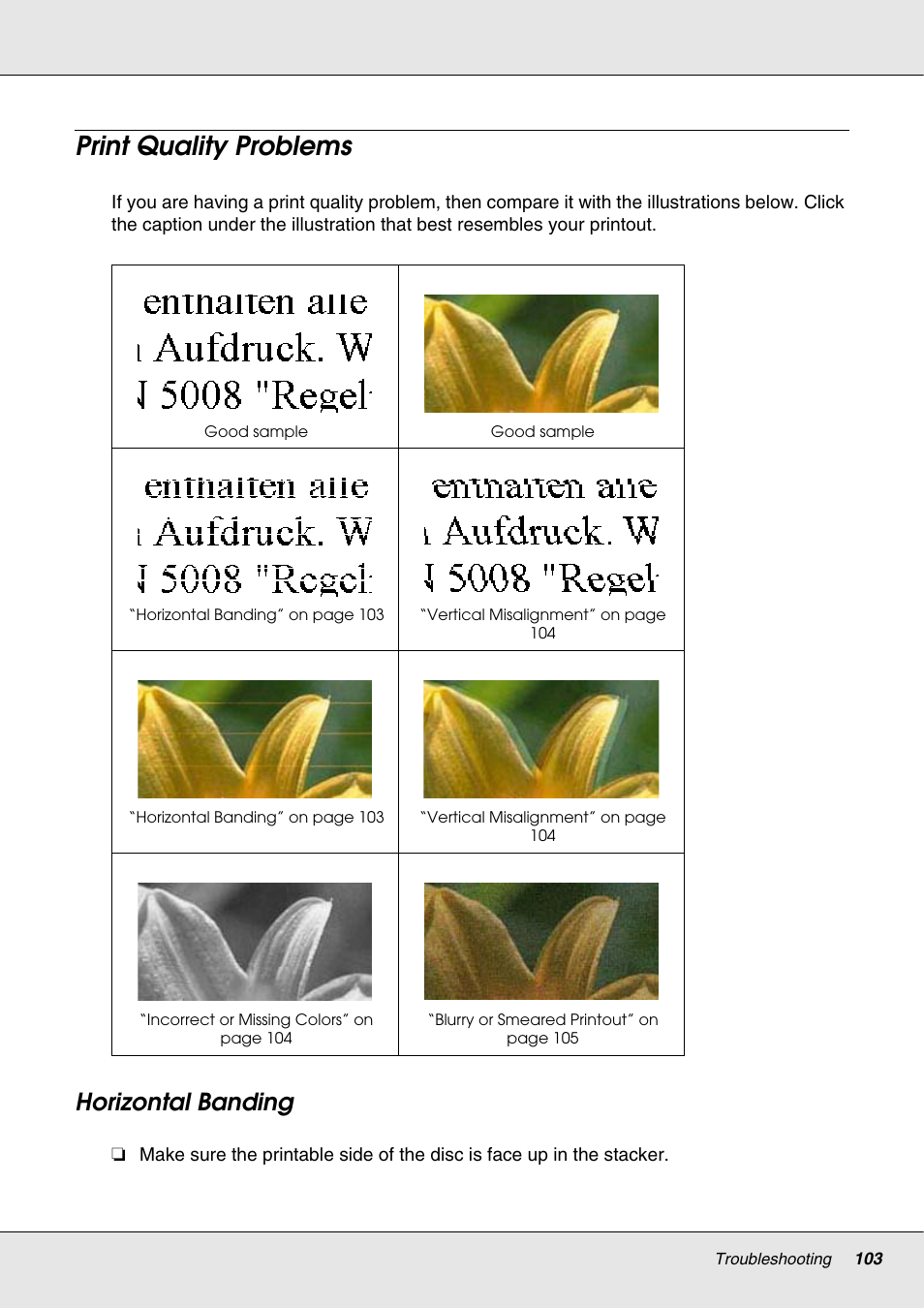 Print quality problems, Horizontal banding | Epson 4113114-06 User Manual | Page 103 / 124