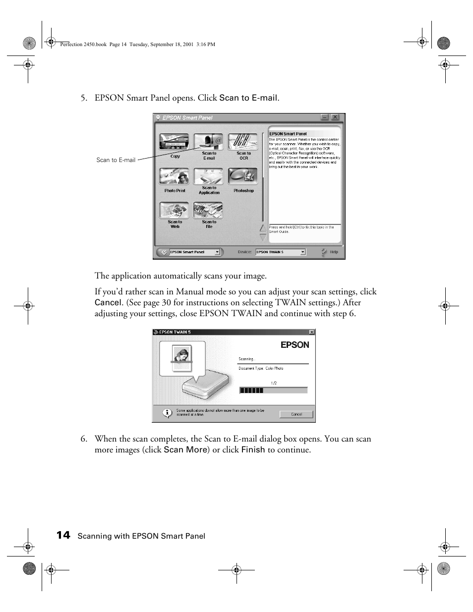 Epson Prefection 2450 User Manual | Page 18 / 58