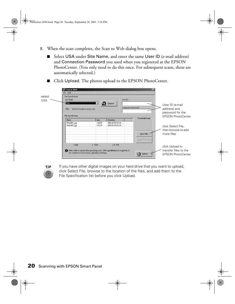 Epson Prefection 2450 User Manual | Page 24 / 58