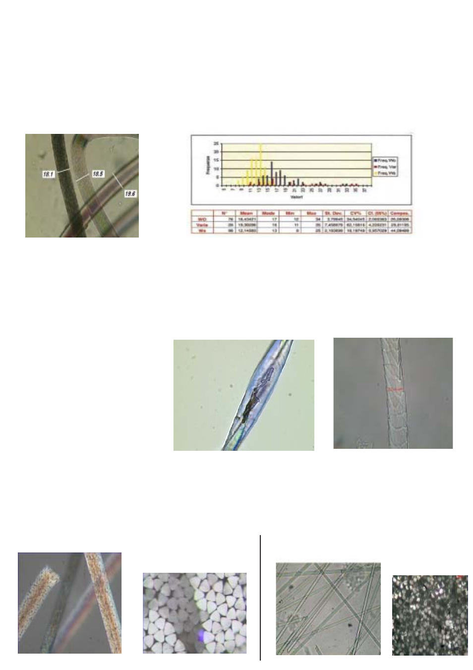 Equipment suitable to | Epson 250D User Manual | Page 2 / 12