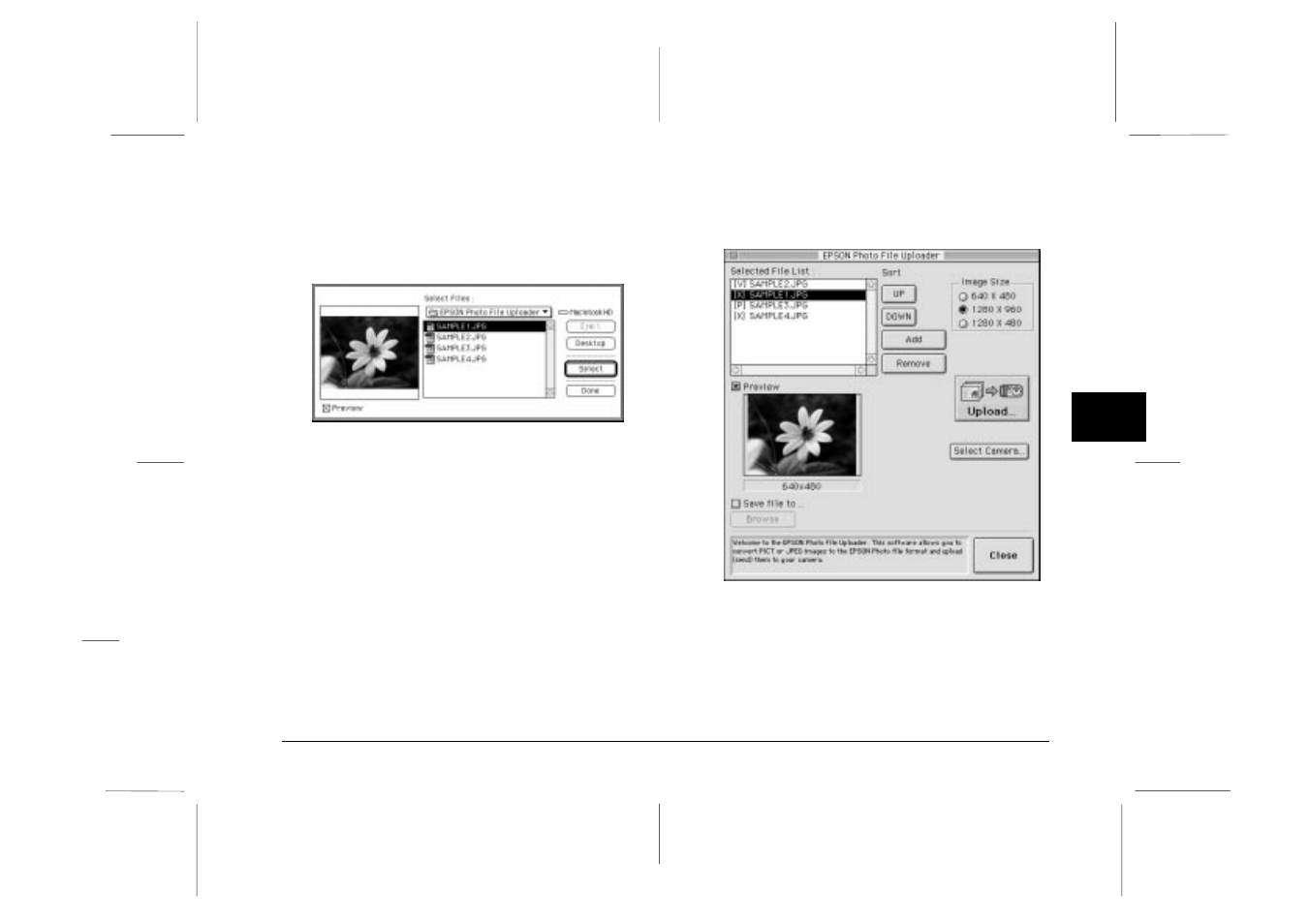 Epson photo!2 rev.c | Epson PC3000Z User Manual | Page 42 / 57