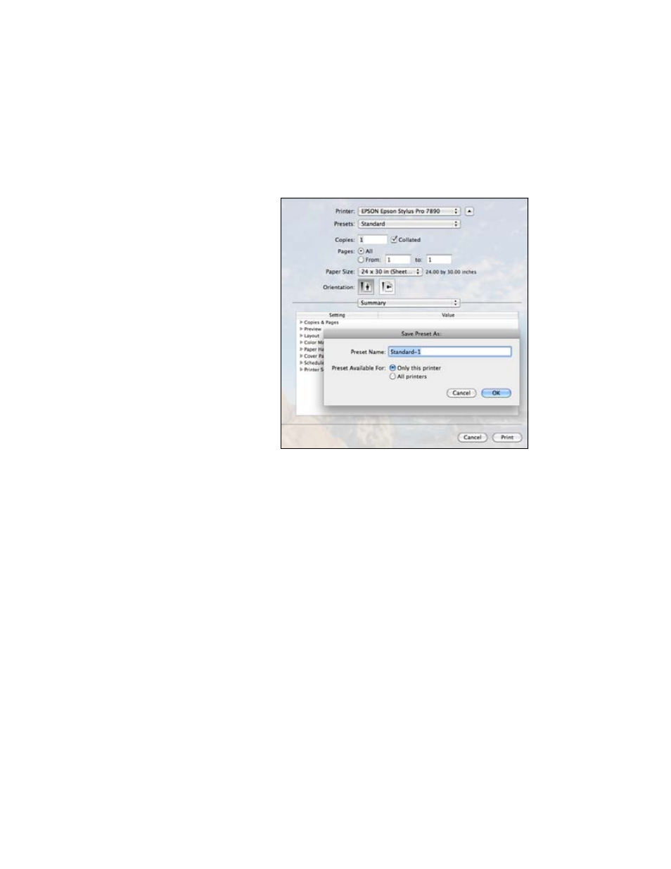 Epson STYLUS 7890 User Manual | Page 102 / 224