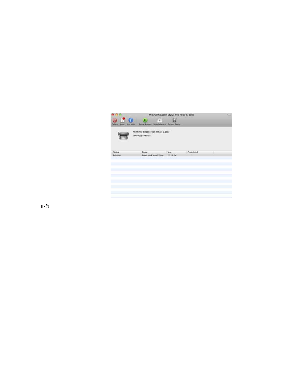 Managing print jobs | Epson STYLUS 7890 User Manual | Page 103 / 224