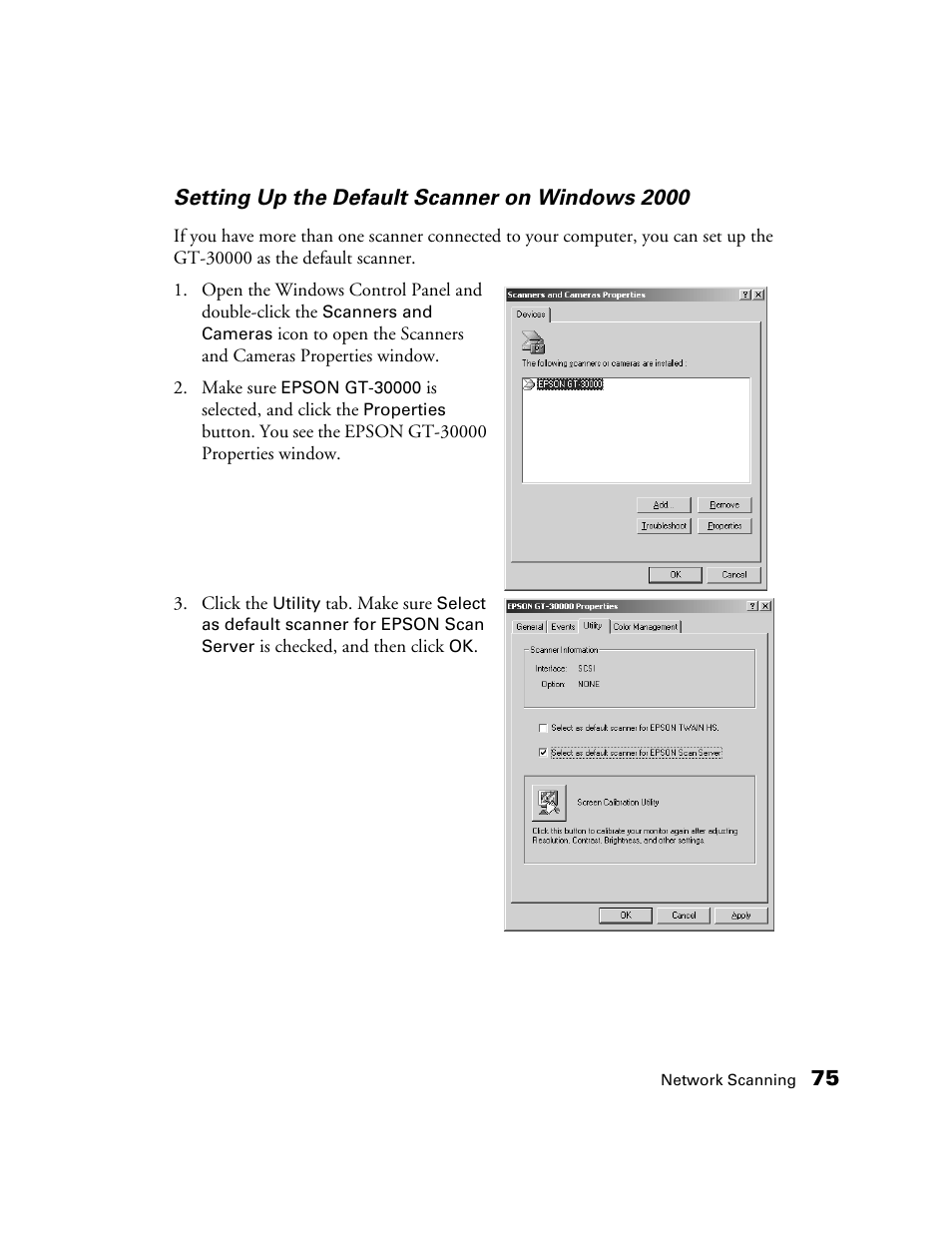 Epson GT-30000 User Manual | Page 81 / 148