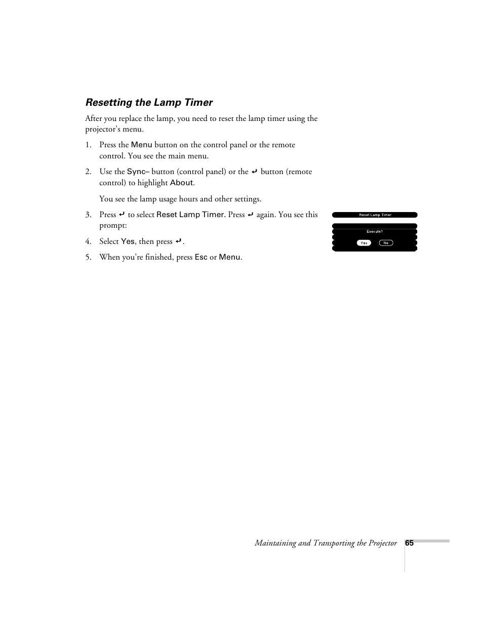 Resetting the lamp timer | Epson 600p EN User Manual | Page 71 / 120